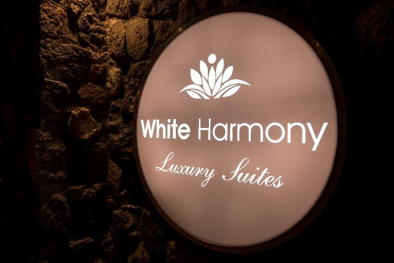 White Harmony Suites Megalochori  Exterior foto